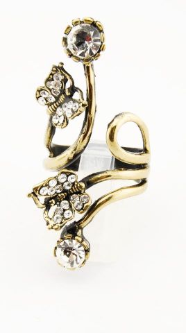 ANILLO