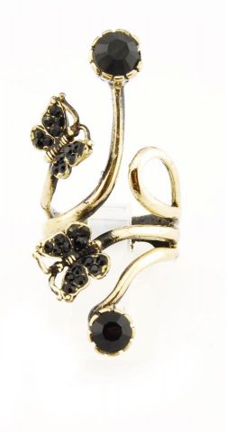 ANILLO
