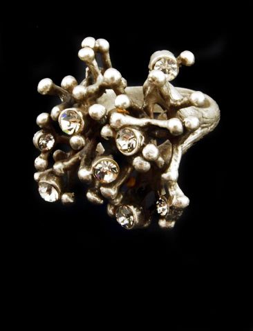 ANILLO RAIZ