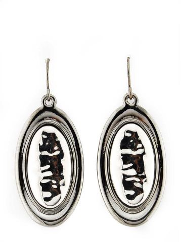 PENDIENTES OVAL BIG  PLATEADO