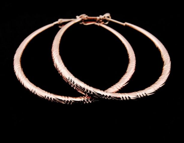 PENDIENTES AROS ROSA RAYA 5CM